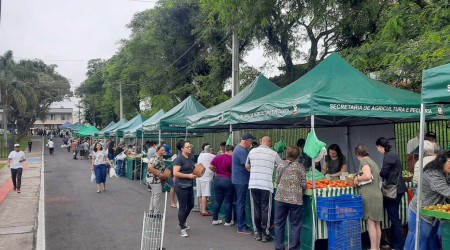 Feira Gastronômica Noturna e Feira do Produtor Rural mudam de local